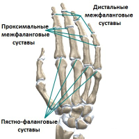 кисть-руки.jpg