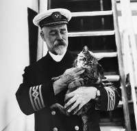 Ship_cat_1.jpg