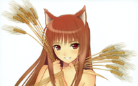 horo-c.jpg