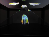 universal-diy-3d-holographic-projection-pyramid-fo.jpg