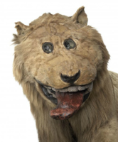 gripsholmlion.jpg