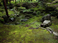 moss-garden-saiho-ji-27.jpg