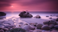 Nature___Sea_Pink_sky_over_the_sea_082684_.jpg