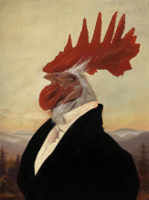 BMayer-Rooster.jpg