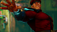 M.BISON.jpg