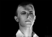 Stefan-Almers-David-Bowie-No-3-Photography-Black-a.jpg