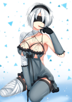 __kaine_and_yorha_no_2_type_b_nier_nier_series_and.jpg