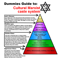 Dummies_Guide_to_Cultural_Marxist_caste_system.jpg