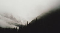 black_and_white_mountains_landscapes_trees_fog_got.jpg