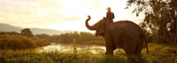 Anantara_Golden_Triangle-Elephant-camp-resort-main.jpg