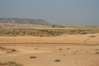 5-Spain-steppe-habitat.JPG