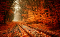 Fall-Nature-Backgrounds-1280x800.jpg