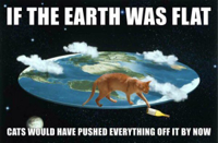 cat-flat-earth.jpeg