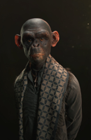 pablo-munoz-gomez-humanzee-render.jpg