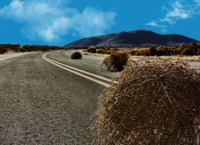 What-the-Heck-Is-a-Tumbleweed.jpg