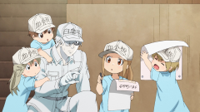 [Erai-raws]-Hataraku-Saibou-08-[1080p].mkv_snapsho.jpg