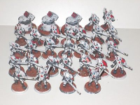 Fire_Warrior_several_squads_with_turrets.jpg