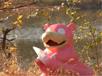 795px-Slowpoke_IRL.jpg