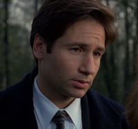 Mulder.jpg