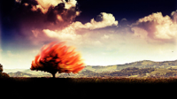 burning_tree__better_by_schorschi19.jpg