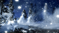 Cold-Winter-Nature-Night-Wallpaper.jpg