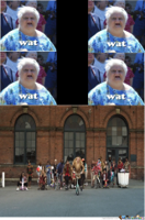 wat-wat-wat_o_1681701.jpg