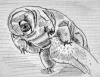 tardigrada.jpg