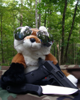 Badass_Fox_by_VertheRed.jpg