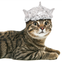 tinfoilhatday-4-1024x1024.jpg