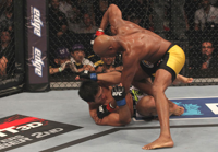 1314528503_ufc-134-rio_1.jpg