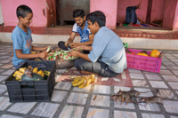 rats-karni-mata-temple-religion-feeding.ngsversion.jpg