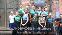 Wandervögel_in_Miltenberg.jpg