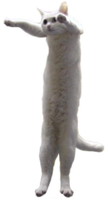 OhExploitableLongcat.jpg