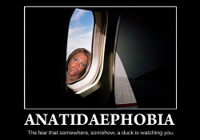 Anatidaephobia.jpg