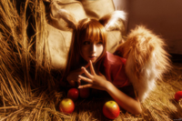 Spice-and-Wolf-Inumimi-Animal-Ears-Anime-3476387.jpeg