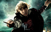 garri-potter-7-ron-uizli_1920x1200.jpg