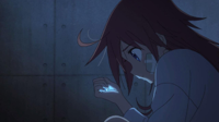 Flip-Flappers-10-Large-01.jpg