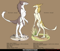 707px-Trancymick_sergal_comparison.jpg