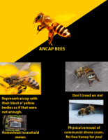 _ancap-bee.jpg