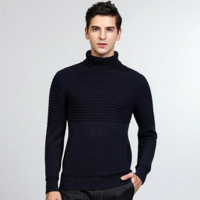 Polo-neck_f71dda0fbc94b07a650250db9298b0fa.jpg