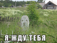 15315855620843.jpg