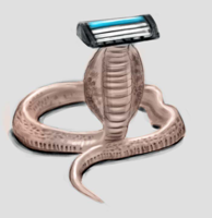 sssssshaver.jpg