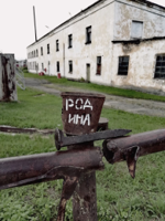0zjq9Tx8184.jpg
