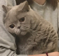 CiOX04NI2MQ.jpg
