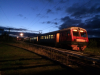 Wt239_68egk.jpg