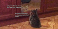 444984c9fc0611005dd3938d094e0ae6.jpg
