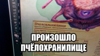 1438563063230.jpg