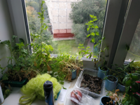 IMG_20190808_191517.jpg