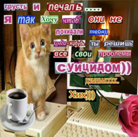 14819096571390.jpg