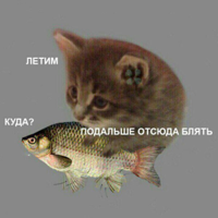 swjwgxW3hk4.jpg